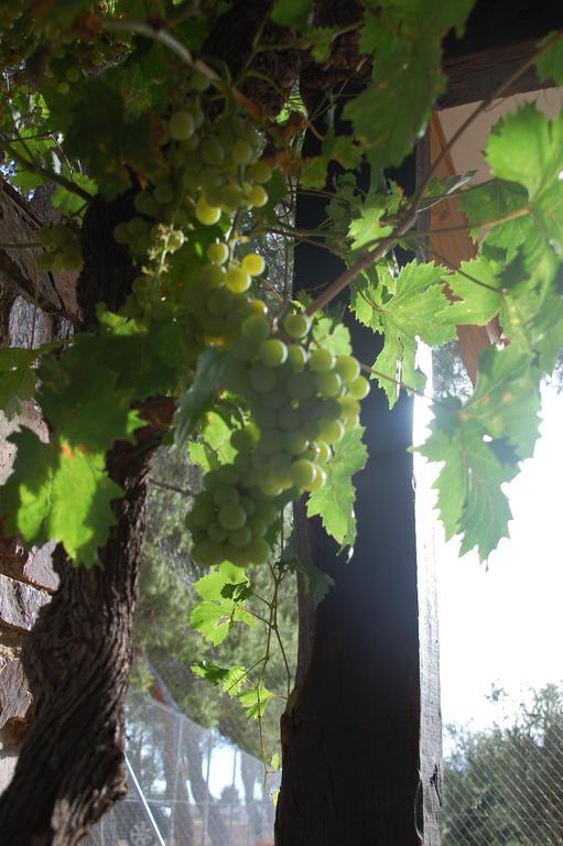 Apartamentos Rurales Las Caleras Αλμάγκρο Εξωτερικό φωτογραφία