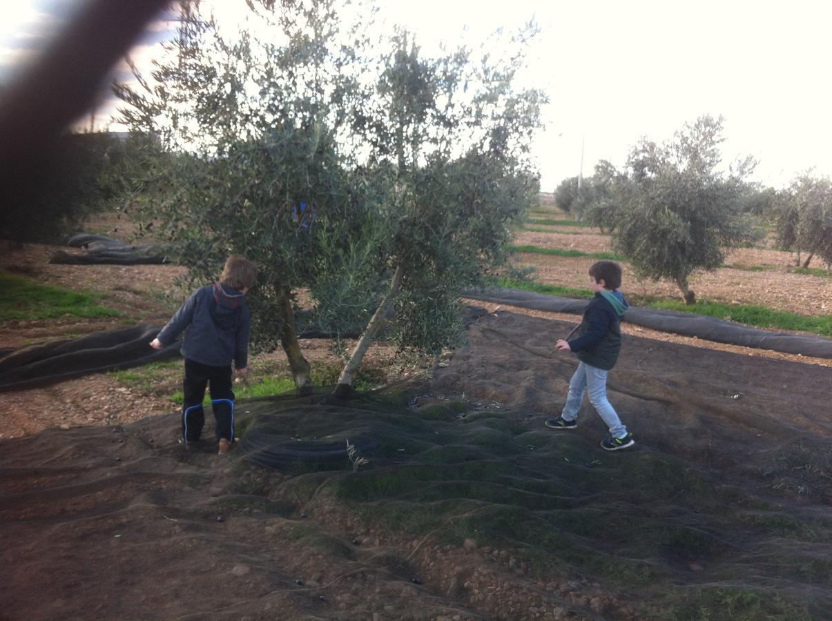 Apartamentos Rurales Las Caleras Αλμάγκρο Εξωτερικό φωτογραφία